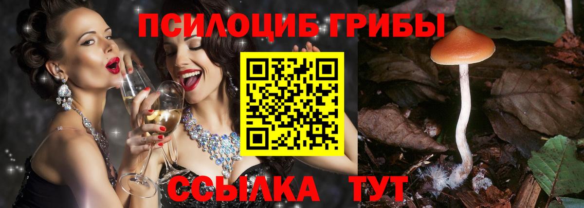 Сатка  как найти наркотики  Вход с VPN  Псилоцибиновые грибы Psilocybine cubensis 